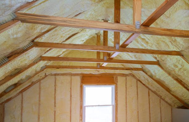 Best Cellulose Insulation in Ontonagon, MI