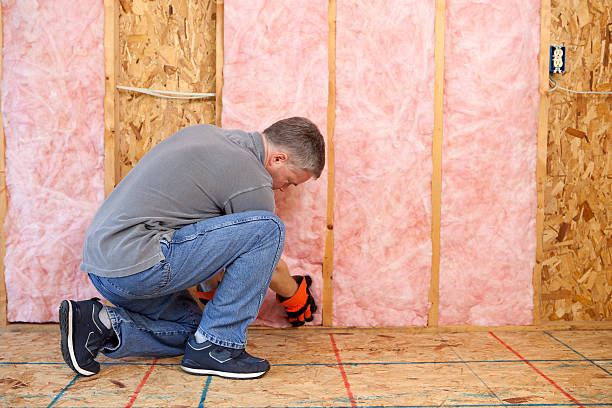 Best Specialized Insulation Services in Ontonagon, MI